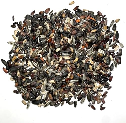Seed Needs Sunflower Seeds to Plant Original Crazy Blend 1 Ounce Bulk Pack - Image 5
