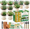 47 PCS Herb Garden Seeds Starter Kit, 10 Non-GMO Culinary Herb Seeds with Beige Pots & Planters for Windowsill, Herb Growing Kit Indoor & Outdoor, Unique Herb Garden Gift Set for Gardening Lovers by DESAIGarden