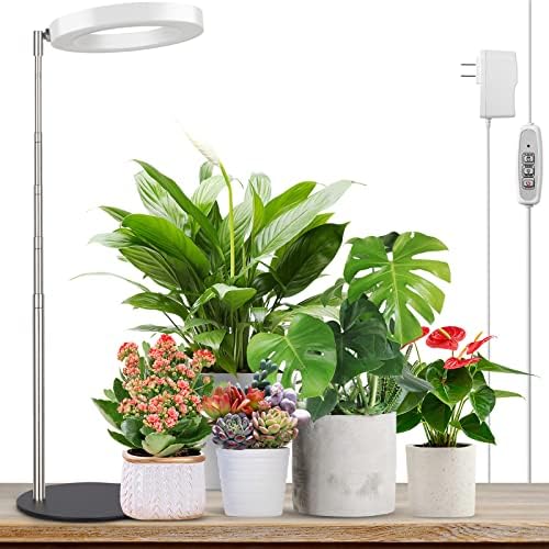 LORDEM Grow Light for Indoor Plants, LED Plant Lamp with Base by LORDEMLEDPlantGrowLight