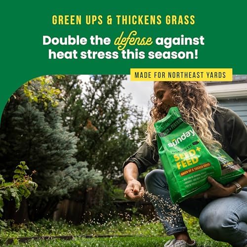 Sunday Northeast Grass Seed & Fertilizer - Tall Fescue, 10 lb - Image 2