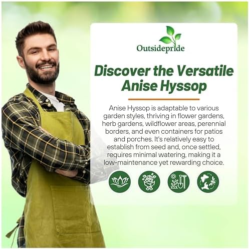 Outsidepride Purple Anise Hyssop Seeds for Planting - 5000 Pcs Perennial Herb Garden Seeds with Fragrant Blooms Attractive to Pollinators, for Small Gardens, Containers, & Xeriscaping - Image 5