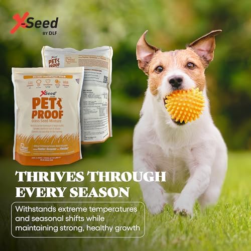 X-Seed Pet Proof Fescue Grass Seed – Dense Lawn for Sun & Shade, Urine Resisitant High Traffic Emerald Green Grass, Rapid Growing In Cool & Sunny Climates, Suited for Dogs – Perennial Blend - 3 lb Bag - Image 6