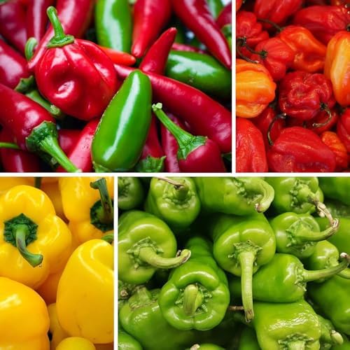 Hot and Sweet Pepper Seeds Collection, 8 Varieties, Jalapeno, Habanero, Bell Pepper, Cayenne, Hungarian Wax, Anaheim, Serrano, Poblano Vegetable Planting - Image 2
