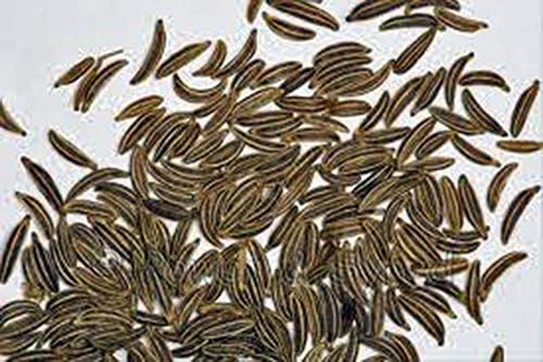 Herb Seed Garden Collection 6, Heirloom, Non GMO, Seeds, 6 Top Seeds Types, Country Creek Acres - Image 2
