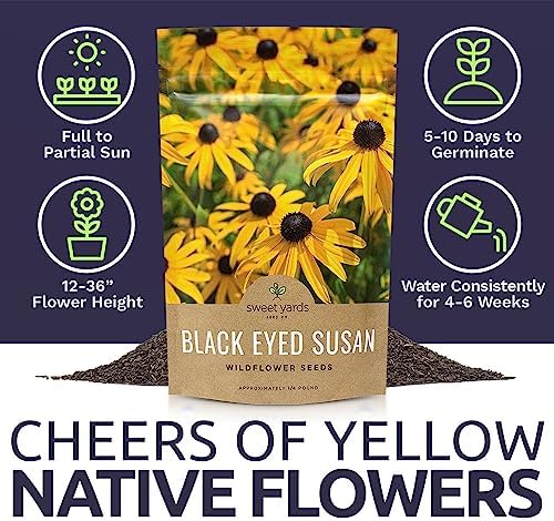 Black Eyed Susan Seeds – Bulk Quarter Pound Bag – Over 400,000 Open Pollinated Non-GMO Wildflower Seeds – Rudbeckia hirta - Image 6