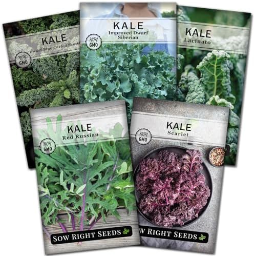 Sow Right Seeds - Kale Seed Collection for Planting Vegetable Garden by SowRightSeeds