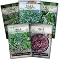 Sow Right Seeds - Kale Seed Collection for Planting Vegetable Garden by SowRightSeeds