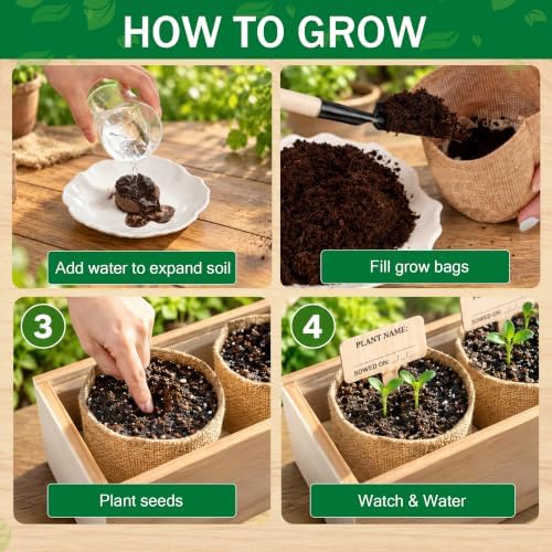 Bonsai Tree Growing Kit for Beginners, 3 Seed Varieties, - Image 4