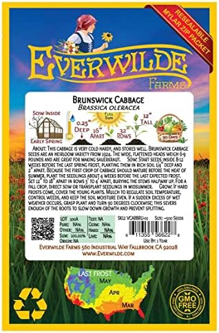 500 Brunswick Cabbage Seeds - Gold Vault Jumbo Seed Packet - Image 2