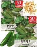 Seed Needs TAM Jalapeño Hot Pepper Seeds to Plant Vegetables - 2 Packs by SeedNeeds
