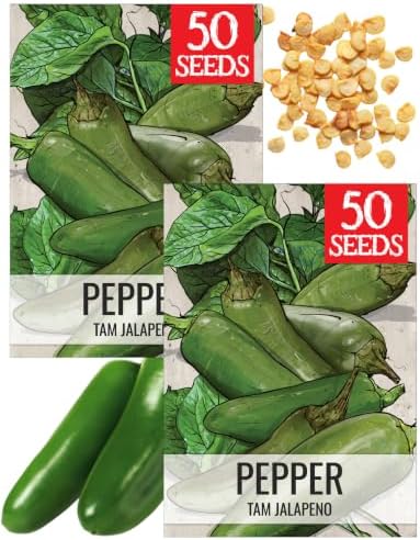 Seed Needs TAM Jalapeño Hot Pepper Seeds to Plant Vegetables - 2 Packs by SeedNeeds