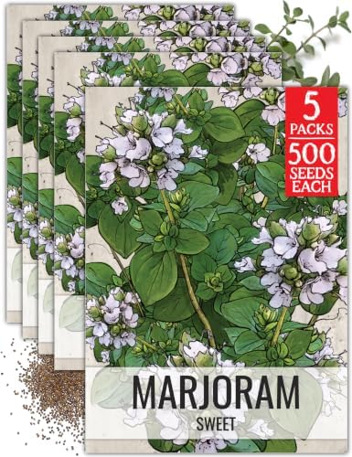Seed Needs Sweet Marjoram Seeds to Plant an Herb Garden - 5 Packs by SeedNeeds