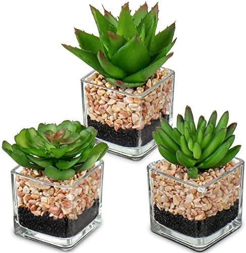 Briful Mini Fake Plants 3 Packs Cute Succulents Artificial Plants in Square Glass Vase Pot Potted Faux Succuletns for Living Room Dining Room Bathroom Kitchen Windowsill Table Decor by Briful