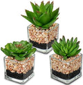 Briful Mini Fake Plants 3 Packs Cute Succulents Artificial Plants in Square Glass Vase Pot Potted Faux Succuletns for Living Room Dining Room Bathroom Kitchen Windowsill Table Decor by Briful