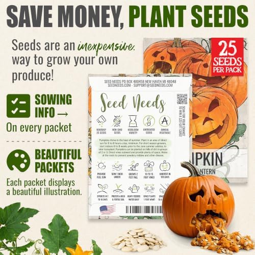 Seed Needs Jack O Lantern Pumpkin Seeds to Plant Vegetables - 10 Packs - Image 3
