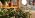 Grow Light Bulbs, Full Spectrum Grow Light Bulb, LED Grow Light - Image 7
