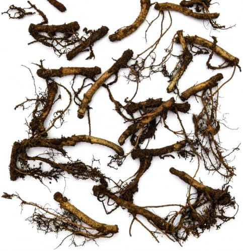 20 Wild Ginger Roots - Canadian Ginger Live Plants - Image 2