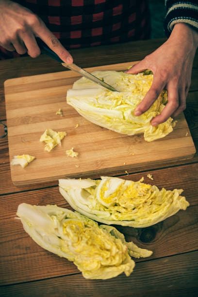 Napa Cabbage Seeds for Planting, 100+ Non-GMO Organic Michihili Cabbage Seeds, Heirloom Napa Cabbage Seeds, High Germination Rate, for Home Garden Outdoor, Easy to Grow for Beginner Gardeners - Image 5