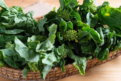 Asian Garden Vegetable 5000+++Seeds Collection for Fall Planting, Mixed Varieties gailan, tatsoi, GAI Choy, bok Choi, pak Choy, Lettuce...Cool Season Leafy Vegetables - Image 3
