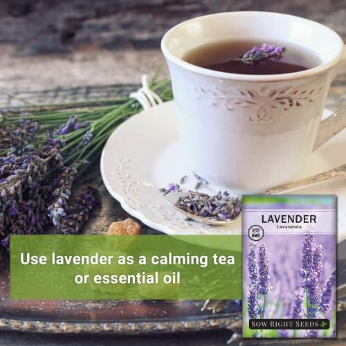 Sow Right Seeds - English Lavender Seed for Planting Perennial Herbs 4pk - Image 5