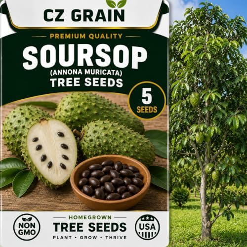 5 Soursop Seeds | Annona Muricata Tropical Fruit Tree Seeds for Planting by CZGrain