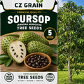 5 Soursop Seeds | Annona Muricata Tropical Fruit Tree Seeds for Planting by CZGrain