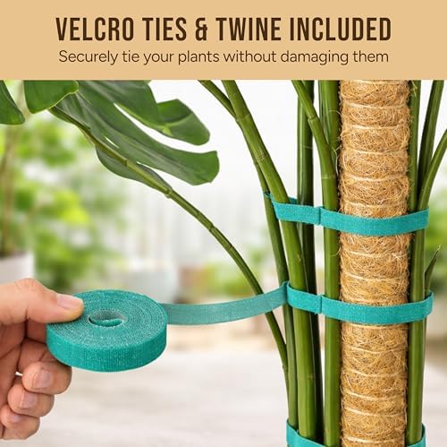 Moss Pole Monstera Plant Support, 2 Pack 48in Bendable Indoor Plant Stakes - Image 3