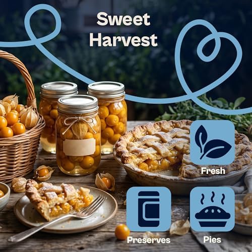 SVI 500 Pineapple Ground Cherry Seeds (Physalis pruinosa) – Tomatillo Seed Packets, Golden Berries, Ground Cherries Seed Pack – Annual Heirloom Fruit and Vegetable Seeds For Outdoor Garden, Raised Bed - Image 4