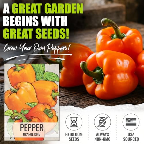 Seed Needs Orange King Bell Pepper Seeds to Plant Vegetables - 2 Packs - Image 2