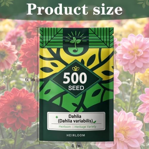 Dahlia Seeds for Planting, Garden Seeds 500ct, Vibrant Mixed Colors Flower - Image 7