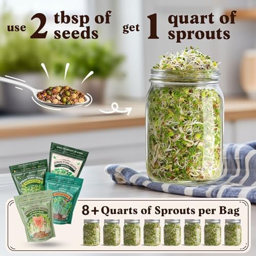 Seedboy Organic Non-GMO Sprouting Seeds 4-Variety (Essential Pack) - Image 2
