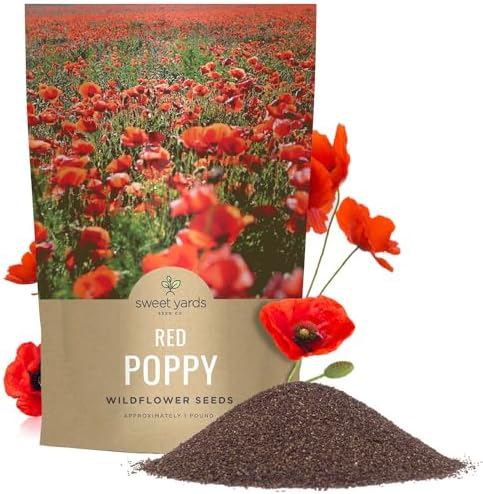 Red Poppy Seeds for Planting - Bulk 1 Pound Bag - Over 3,200,000 Wildflower Seeds by SweetYards