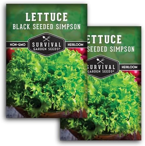Black Seeded Simpson Lettuce Seeds – Survival Garden Seeds (2 Packs) by SurvivalGardenSeeds
