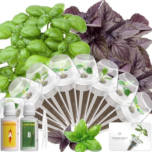 LYKOCLEAN Herb Seed Pod Kit Compatible with AeroGarden Hydroponics Growing System, Complete Indoor Gardening Supply (Basil, 8-pods) by LYKO