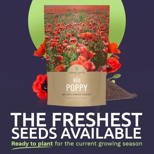Red Poppy Seeds for Planting - Bulk 1 Pound Bag - Over 3,200,000 Wildflower Seeds - Image 3