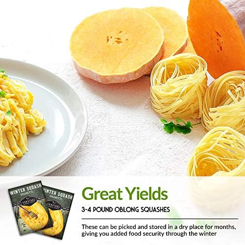 Spaghetti Squash Seeds for Planting - 3 Packs - Image 4