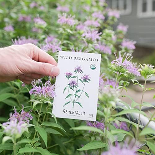 Sereniseed Certified Organic Herbal Tea Seed Collection (10-Pack) – 100% Non GMO, Open Pollinated – Grow Guide - Image 3