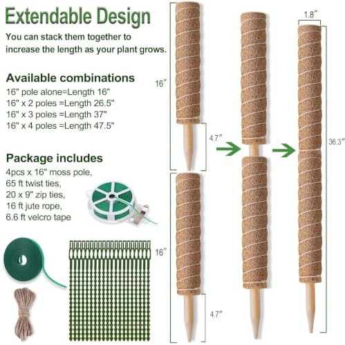 Fabulas Moss Pole Monstera Plant Support, Extended to 48 Inch, 4 Pack 16 in - Image 2