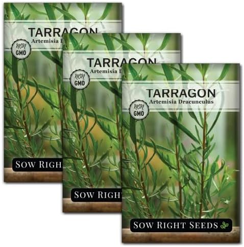 Sow Right Seeds - Tarragon Seed for Planting Your Perennial Herb Garden 3pk by SowRightSeeds