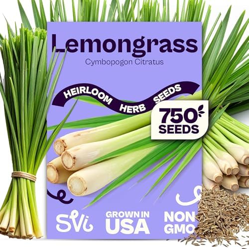 SVI 750 Lemongrass Seeds (Cymbopogon flexuosus) – West Indian Lemon Grass Seed Packets – Non GMO Heirloom Aromatic Culinary Herb Seeds for Containers, Outdoor & Indoor Herb Garden by SVI