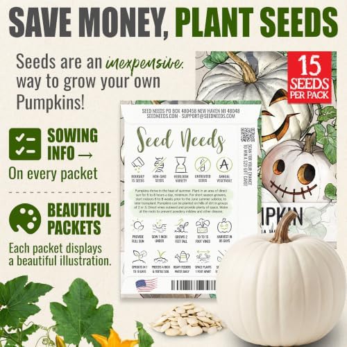 Seed Needs Lumina White Pumpkin Seeds to Plant Vegetables - 2 Packs - Image 3
