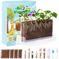 TitaniX Root Viewer Kit for Kids with 6 Seed Varieties, STEM Science Toy & Craft Growing Kits for Boys & Girls, Grow Your Own Plant for Ages 4-8 Birthday Gifts for Boy,4, 5, 6, 7, 8, Year Old by Unknown