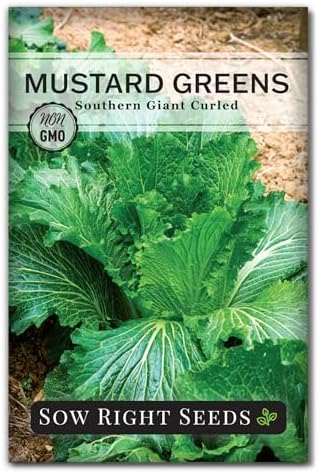 Sow Right Seeds - Southern Giant Curled Mustard Green Seed for Planting by SowRightSeeds