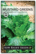 Sow Right Seeds - Southern Giant Curled Mustard Green Seed for Planting by SowRightSeeds
