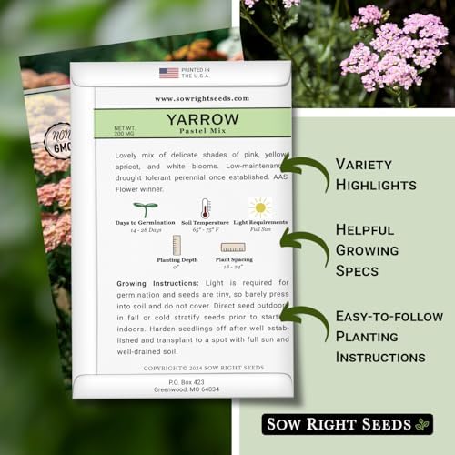 Sow Right Seeds - Pastel Mix Yarrow Seeds for Planting Perennial Herbs 2pk - Image 2