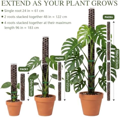 Plastic Moss Pole for Monstera and Climbing Plants (4 PACK-24Inch-Dripper) - Image 6