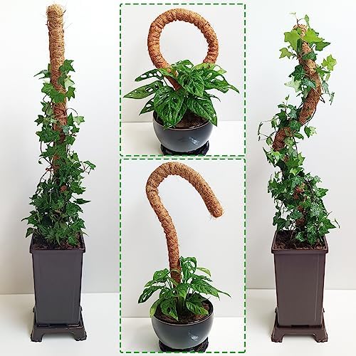 Soupiar 2-Pack 28" Bendable Moss Pole for Monstera, Rust-Free Aluminum Core Plant Support Stakes, Sturdy Stakes to Train & Grow Indoor Climbing Plants Upright (13.2ft Jute Rope Included) - Image 6