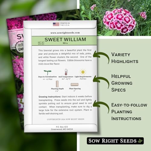Sow Right Seeds - Sweet William Mix Seed for Planting Dianthus Flowers - Image 2
