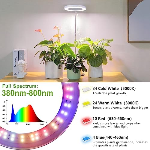 LORDEM Grow Light for Indoor Plants, LED Plant Lamp with Base - Image 6