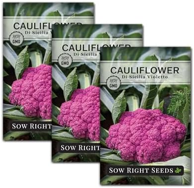 Sow Right Seeds - Di Sicilia Violetto Cauliflower Seed for Planting 3pk by SowRightSeeds